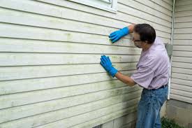 Professional Siding in Philomath, OR